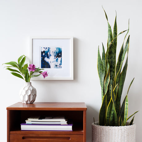 Framebridge: Irvine Slim white gallery frame